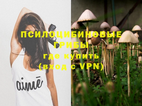 ПСИЛОЦИБИНОВЫЕ ГРИБЫ Нязепетровск